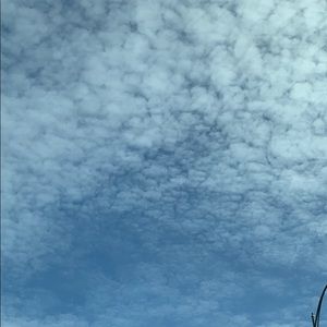 Meet your Posher, Natalia